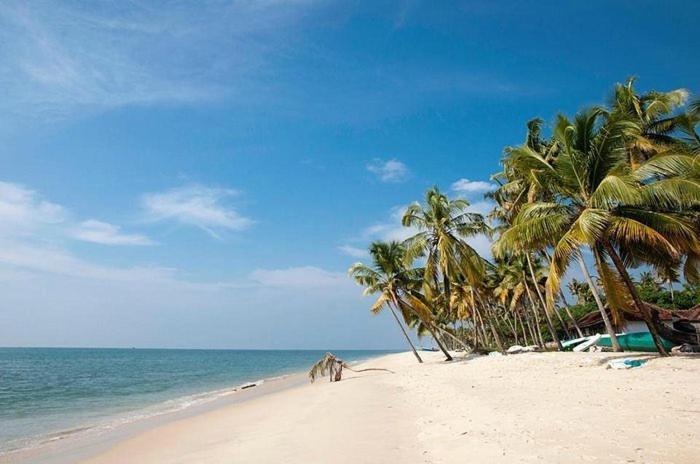 Marari Beach Clleetus Homestay Mararikulam Zewnętrze zdjęcie